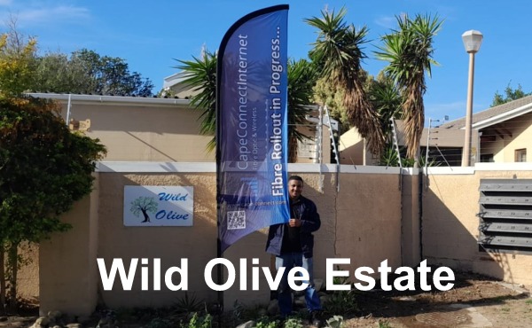 Wild Olive Estate